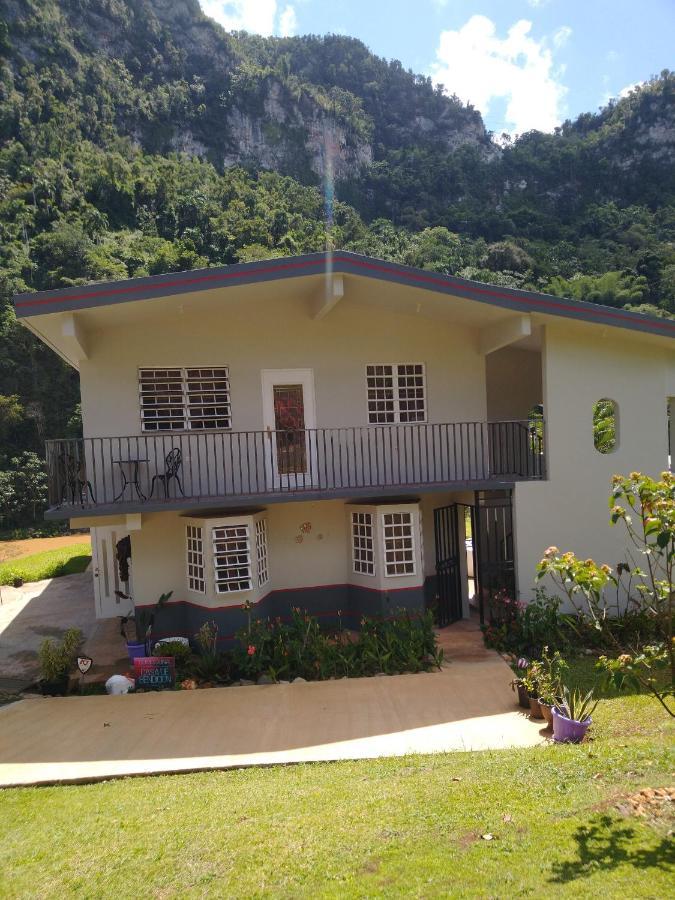 Casa De Campo Rio Arriba Arecibo Luaran gambar